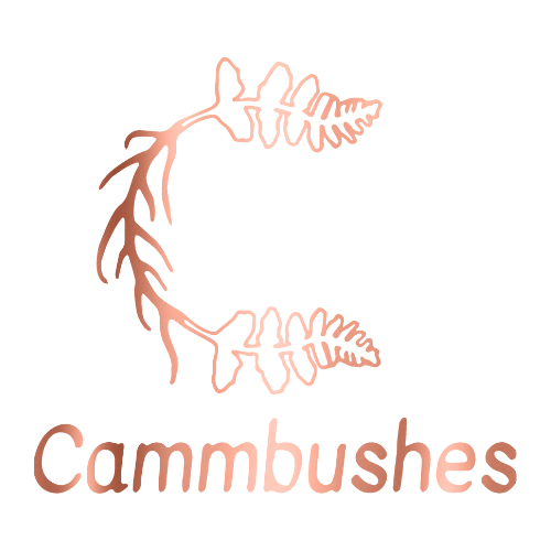 Cammbushes
